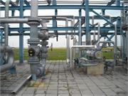 Banatski dvor slika26